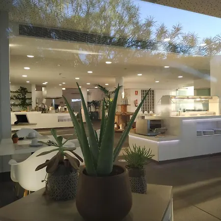 Hyde Park Lane * Puerto del Carmen (Lanzarote)